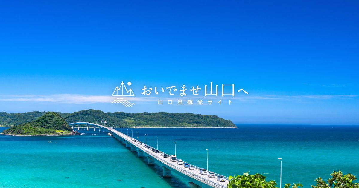 大圖1