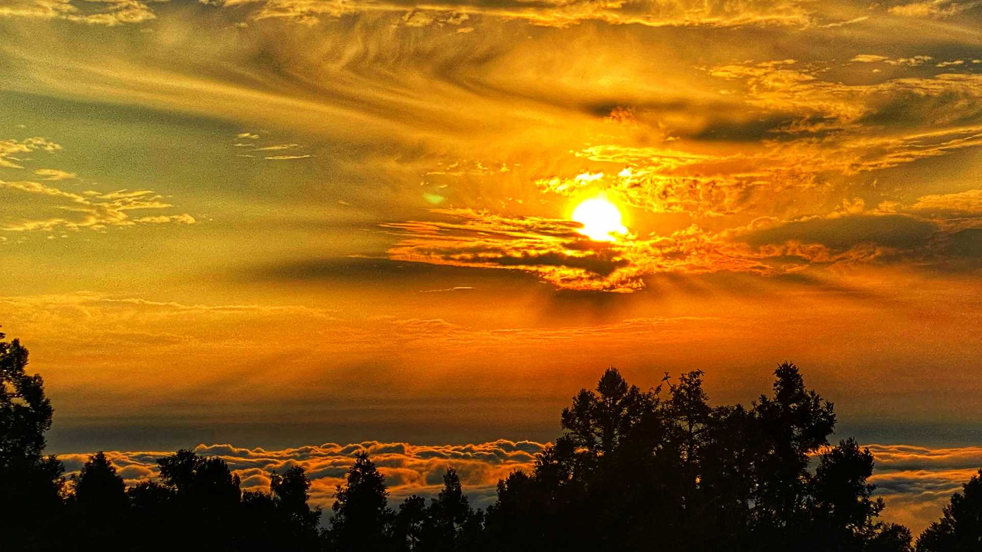 阿里山日出雲海